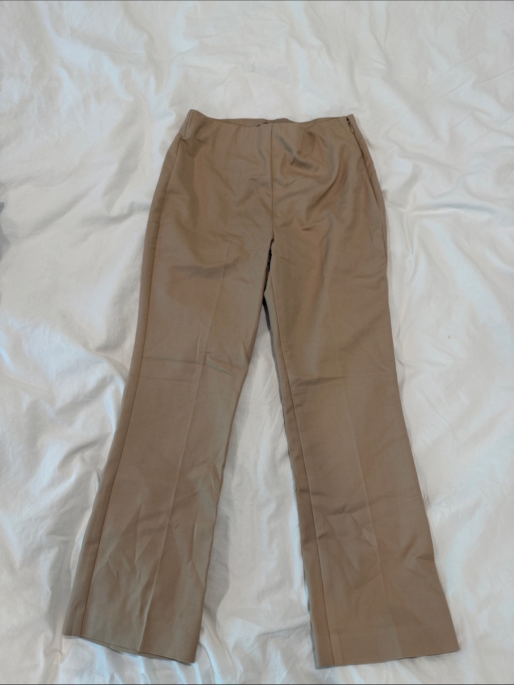 Ann Taylor Pant
